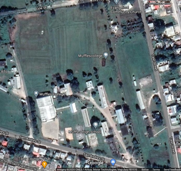 Muffles College Campus Aerial View