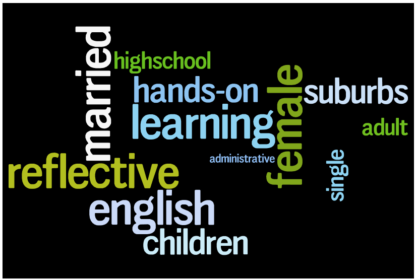 Wordle with a sample learner profile
